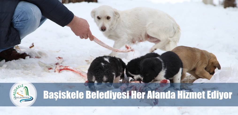KARLA MCADELEDE KUSURSUZ HZMET