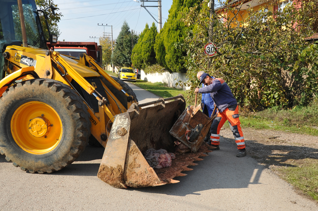 ATIKLAR �EVRE K�RL�L��� YA�ANMADAN TOPLANDI