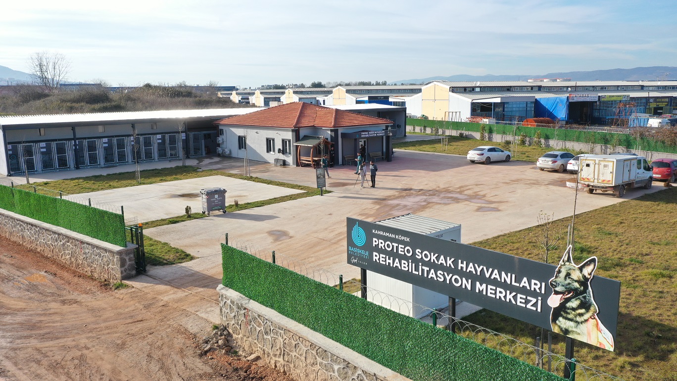 Proteoda 2 Binin zerinde Hayvan Tedavi Edildi