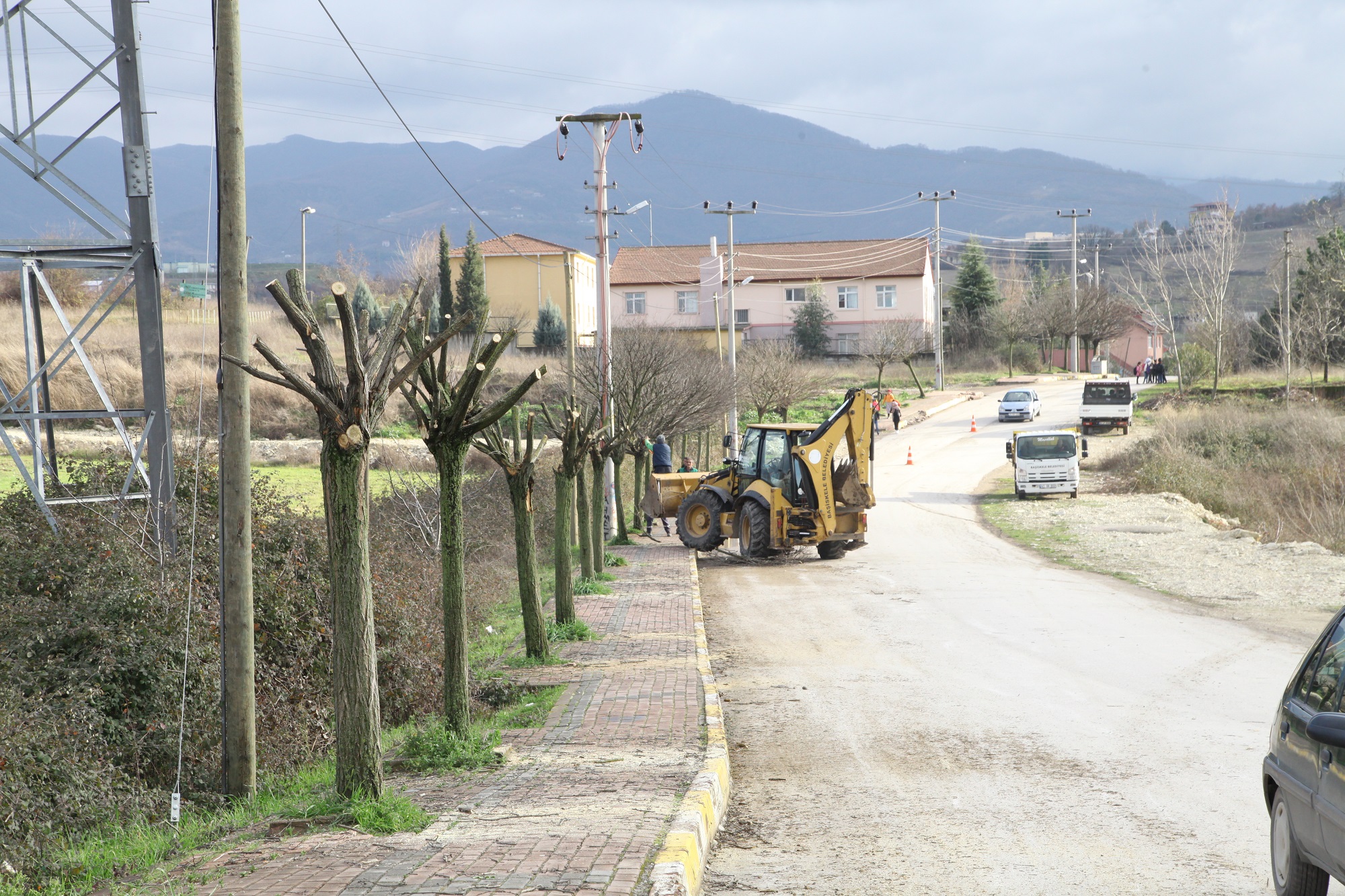 A�a�lar�n K��l�k Bak�mlar� S�r�yor