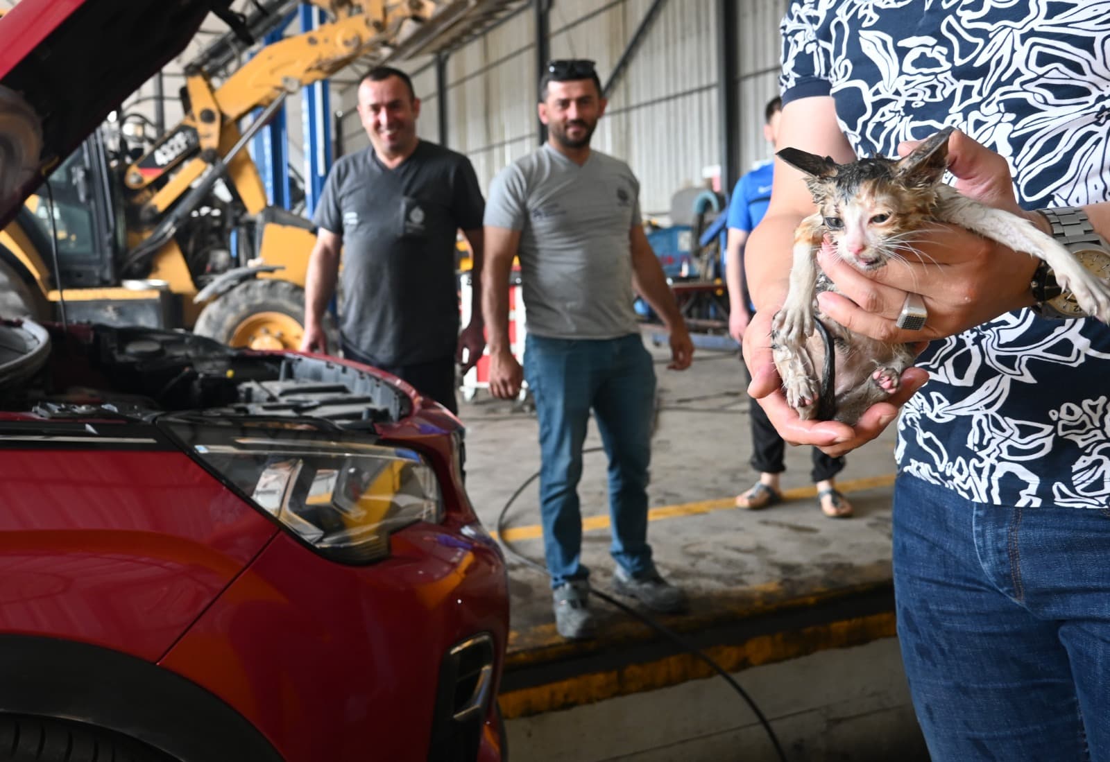 Baiskele Belediyesi Personeli Yavru Kediyi Kurtard