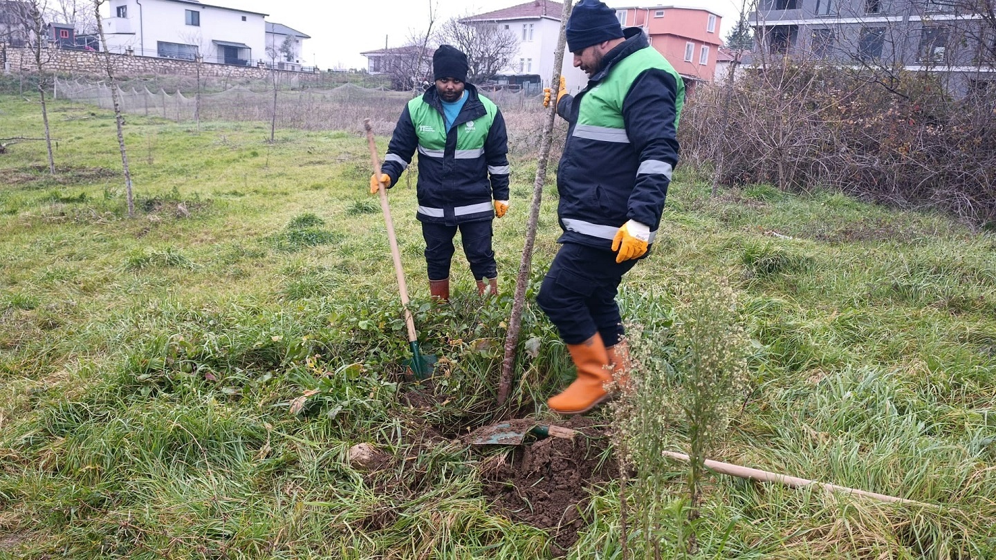 Ba�iskele�nin Ye�iline Ye�il, Nefesine Nefes Kat�l�yor