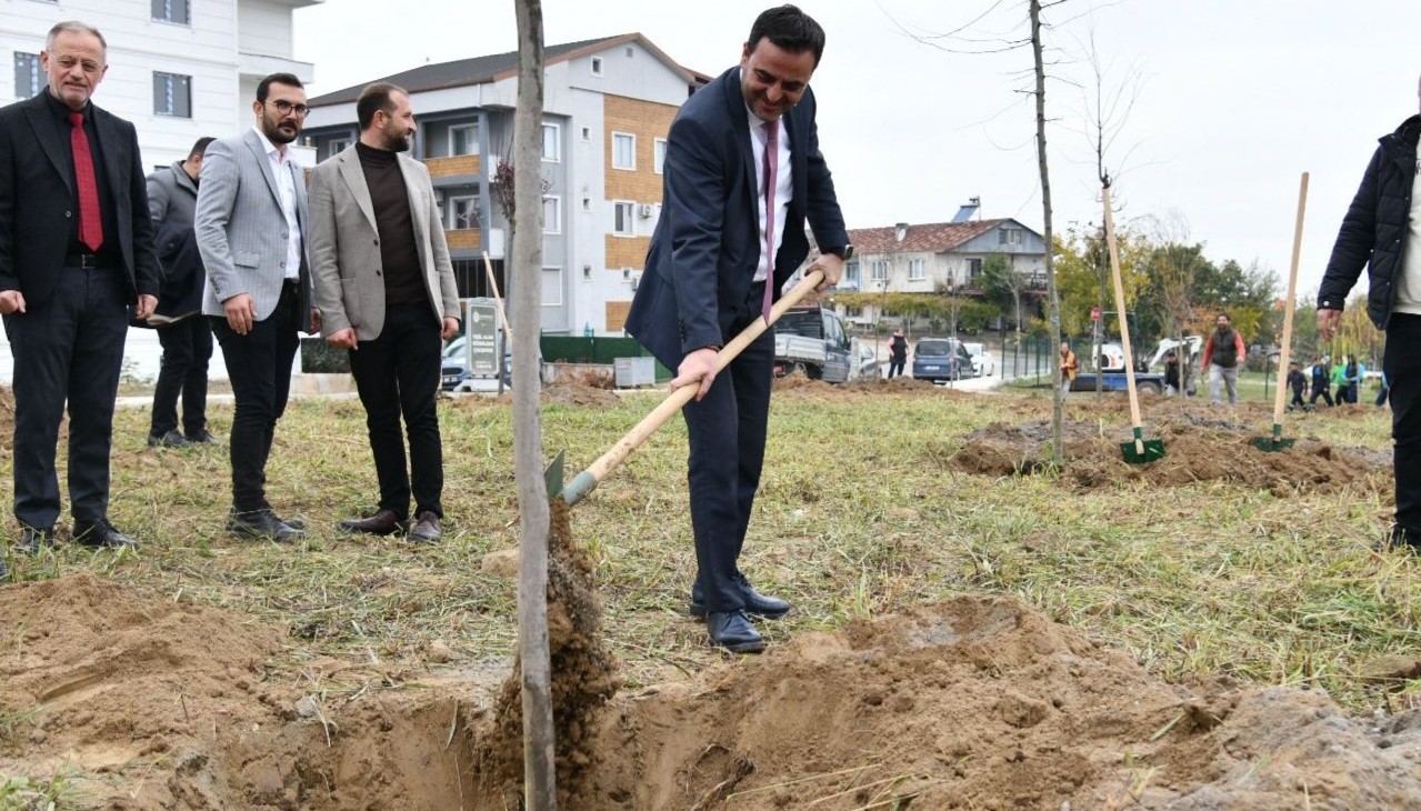 Baiskelede Fidanlar Toprakla Bulutu