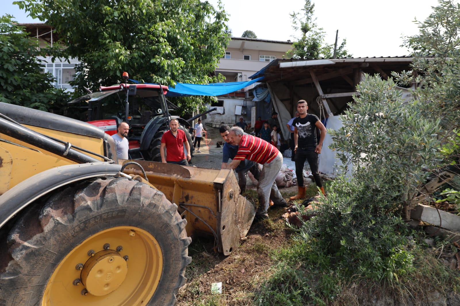 Baiskelede Kurban Atklar Annda Topland