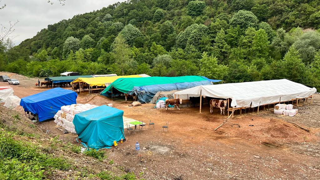 Kurbanlk Hayvan Sat Yeri in Hazrlklar Tamam