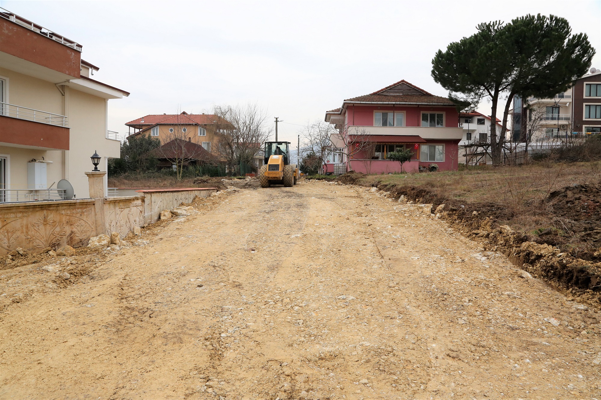 SEYF SOKAK ULAIMA AILDI