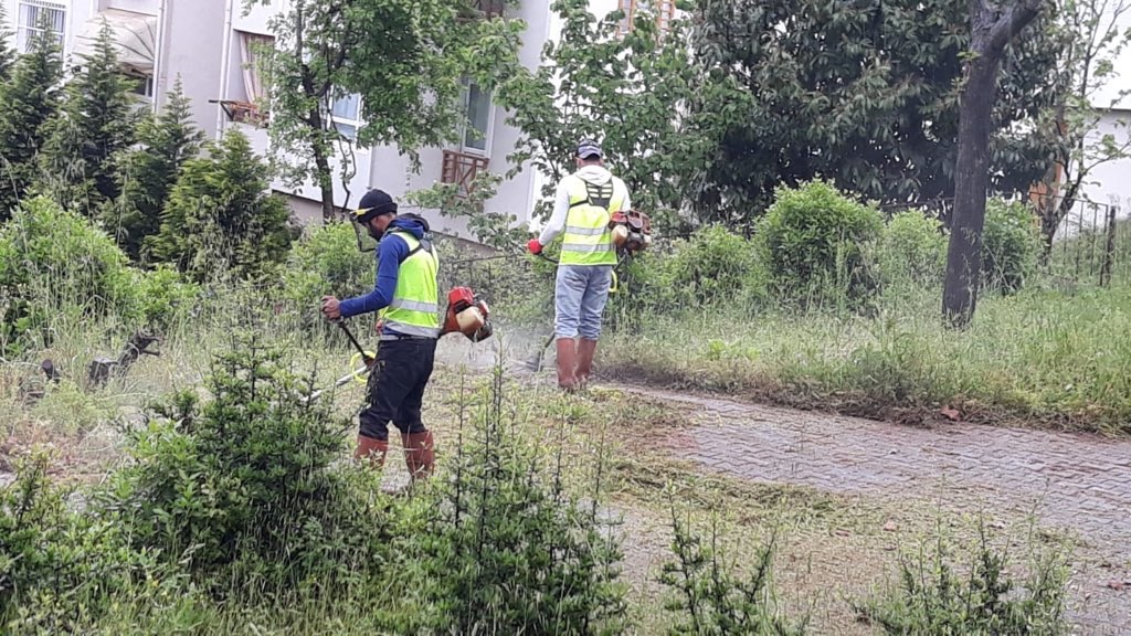 Baiskelede Yeil Alanlarn Bakmlar Yaplyor